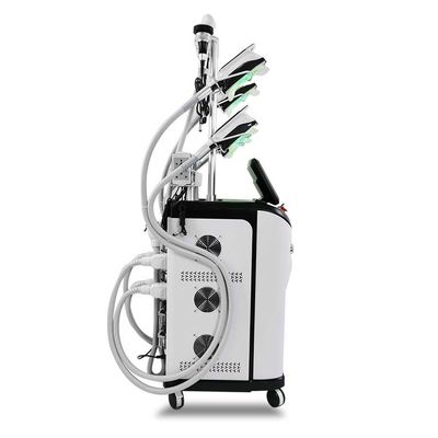 Machine van cryocoolsculpting van 110V 240V 800W de Zwarte