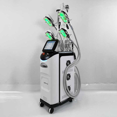 De Machine van buikce Cryolipolysis, Machine van het de Vorstvermageringsdieet van Cryolipolysis de Vette