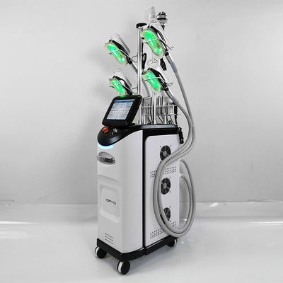 De ultrasone van de het Vermageringsdieetmachine van 40K Cryo Laser van de Cavitatielipo
